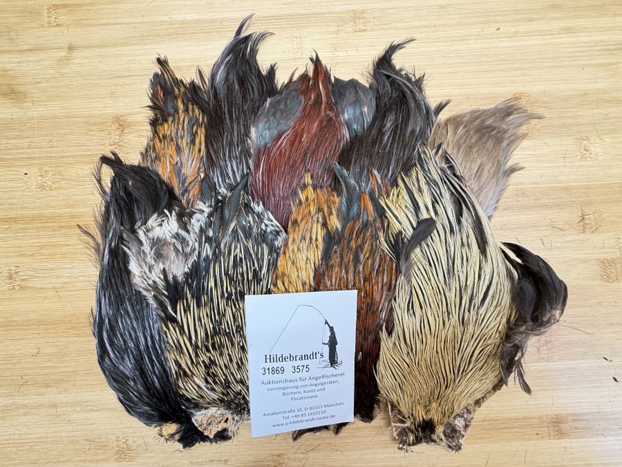 Hahnenbälge, Indien, 10 Stück, verschiedene Farben