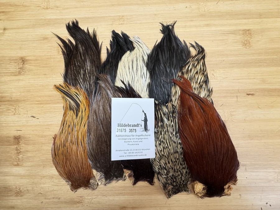 Hahnenbälge, Indien, 10 Stück, verschiedene Farben