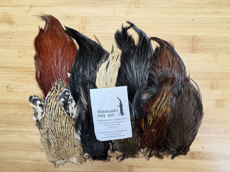 Hahnenbälge, Indien, 10 Stück, verschiedene Farben