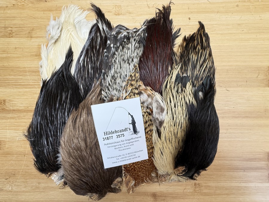 Hahnenbälge, Indien, 10 Stück, verschiedene Farben