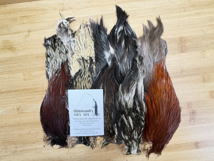 Hahnenbälge, Indien, 10 Stück, verschiedene Farben