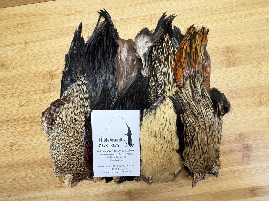 Hahnenbälge, Indien, 10 Stück, verschiedene Farben