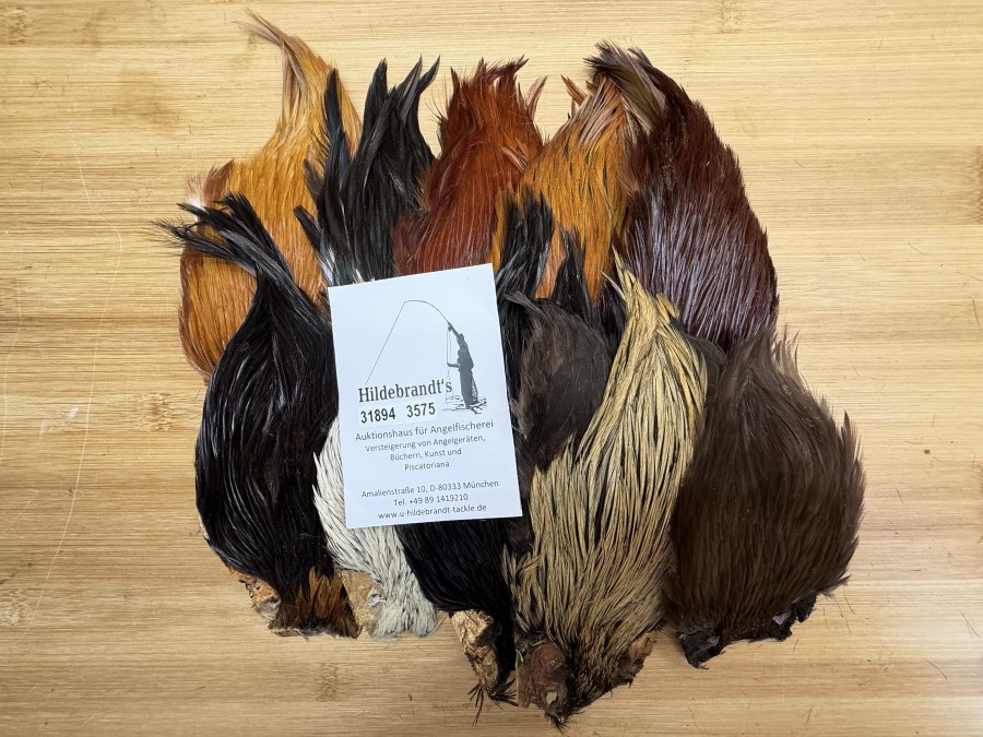 Hahnenbälge, Indien, 10 Stück, verschiedene Farben