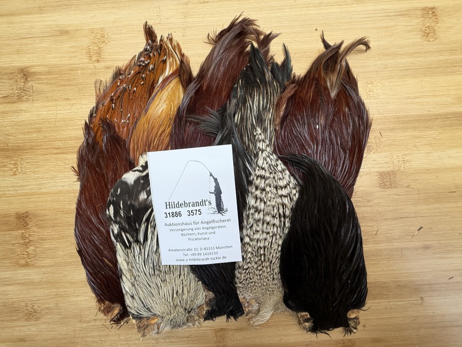 Hahnenbälge, Indien, 10 Stück, verschiedene Farben