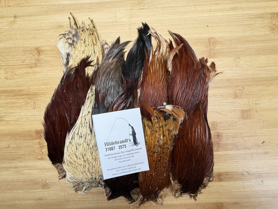 Hahnenbälge, Indien, 10 Stück, verschiedene Farben