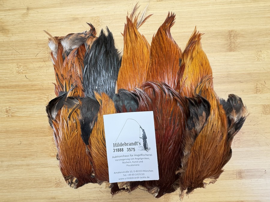 Hahnenbälge, Indien, 10 Stück, verschiedene braun Farben