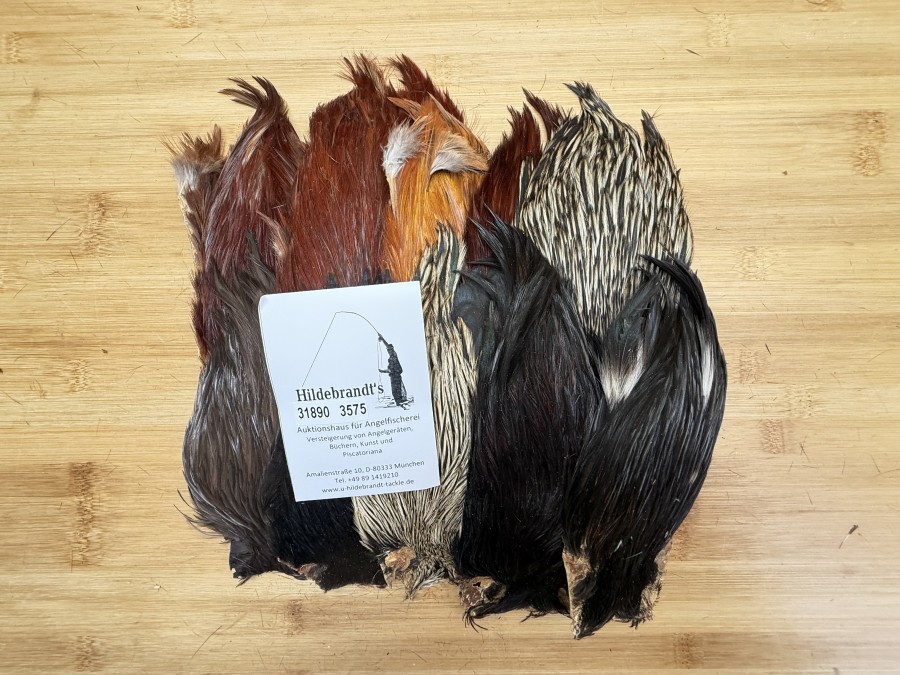 Hahnenbälge, Indien, 10 Stück, verschiedene Farben