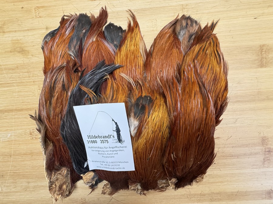 Hahnenbälge, Indien, 10 Stück, verschiedene braun Farben