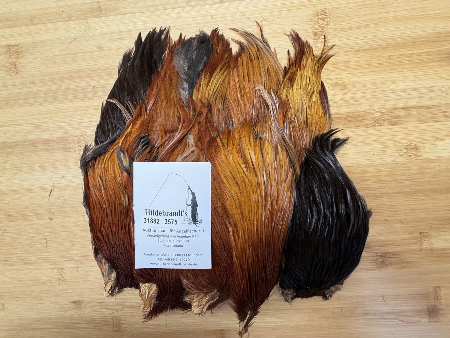 Hahnenbälge, Indien, 10 Stück, verschiedene braun Farben