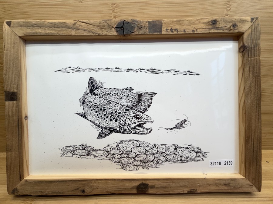 Handgezeichnetes Tuschebild, Bachforelle auf Nahrungssuche, Thomas Wölfle, Altholzrahmen, 330x230mm, signiert auf Rückseite