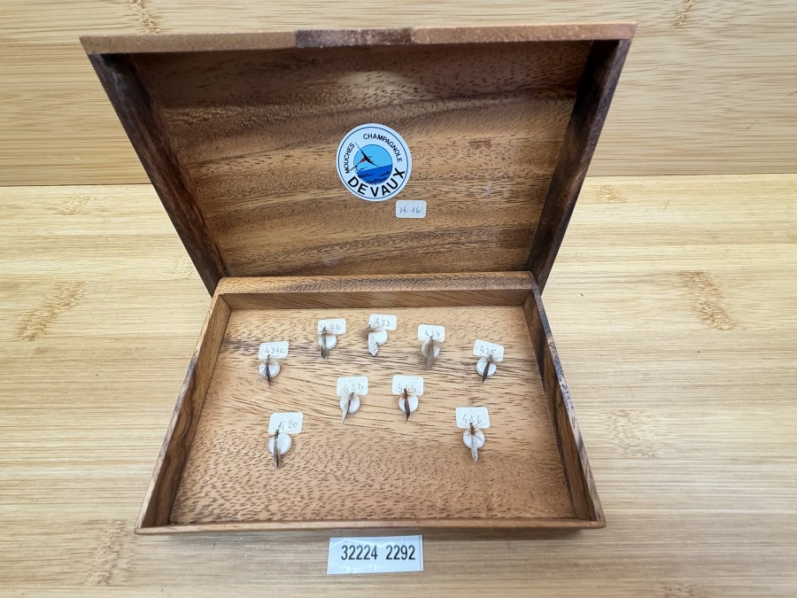 Fliegensortiment, Devaux Mouches Champagnole, sehr schöne Holzbox,  Sedge, Grösse 16, selten