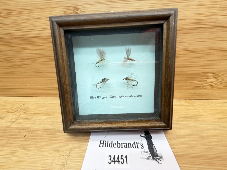 4 Fliegen im Rahmen, Viktor Sermek, Blue Winged Olive (Ephemerella ignita), 100x100mm, Glasscheibe